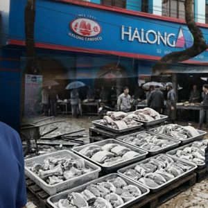 Shock: 120 Tons of African Swine Fever Pork Turned into Hạ Long Canned Food – Who Must Take Responsibility?