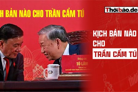 KỊCH BẢN NÀO CHO TRẦN CẨM TÚ?