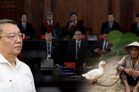 Cán Cân Công Lý „Lỗi Nhịp“: Khi Con Vịt Nặng Hơn 142 Tỷ Đồng, Kịch Bản Bảo Kê Của Nhóm Tinh Hoa?