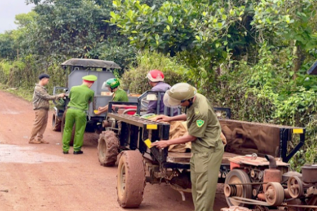 Công an xã “lùng bánh mì” đến tận nương bản.