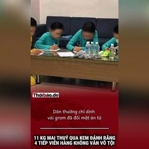 11kg mai thuý qua kem đánh răng, 4 tiếp viên hàng không vẫn vô tội.