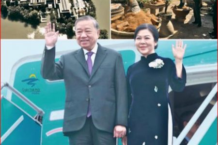 Khi những chậu mai vàng trở thành chỉ tiêu của lực lượng công quyền.