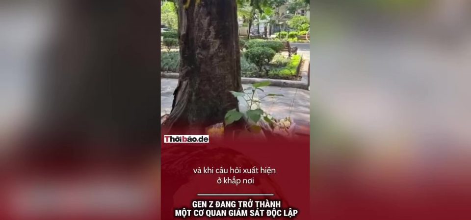 Gen Z đang trở thành một cơ quan giám sát độc lập